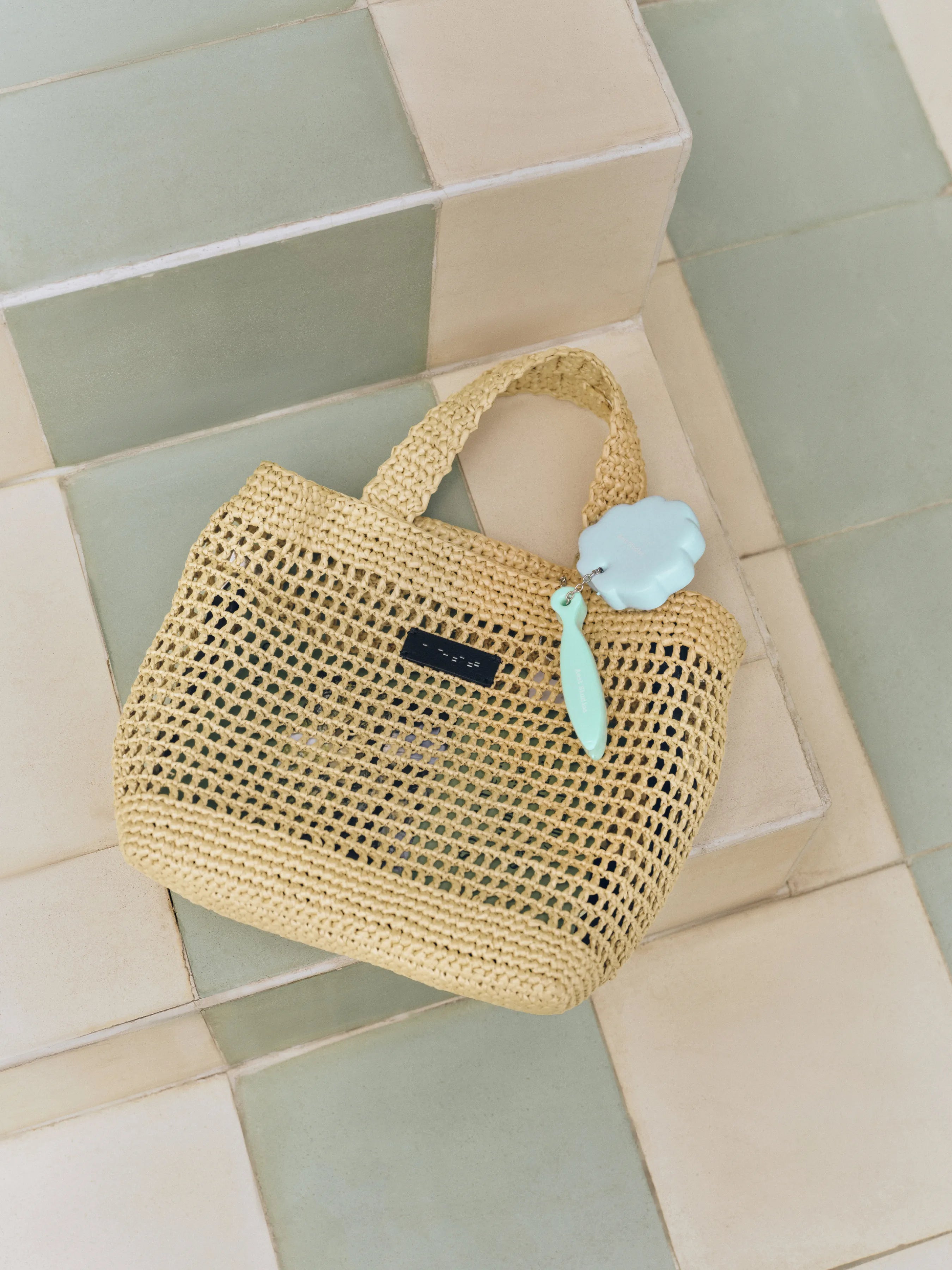 Capture Raffia Book Bag